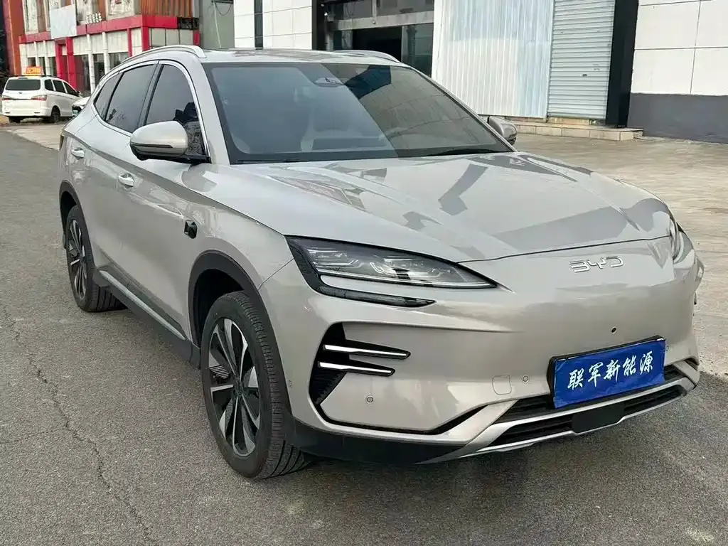 BYD PLUS New Energy — фото 7