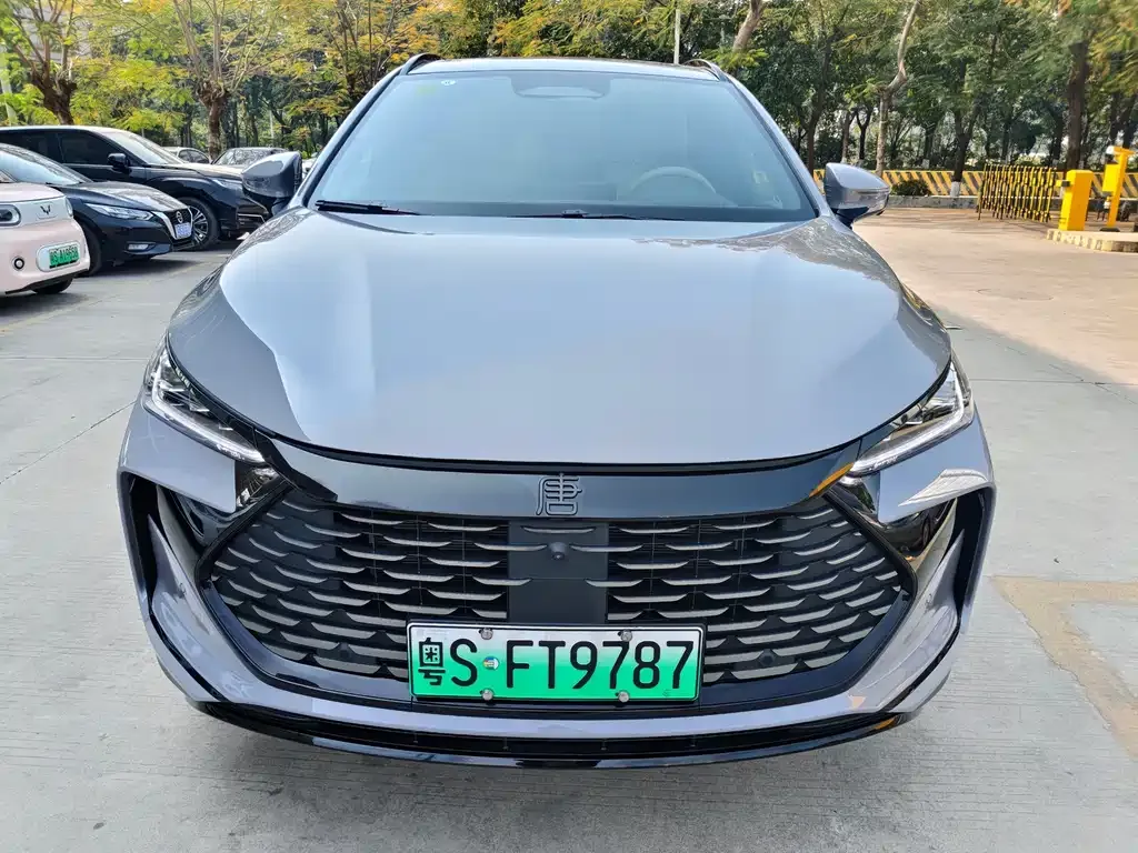 BYD Tang New Energy 2025 из CN, фото 6