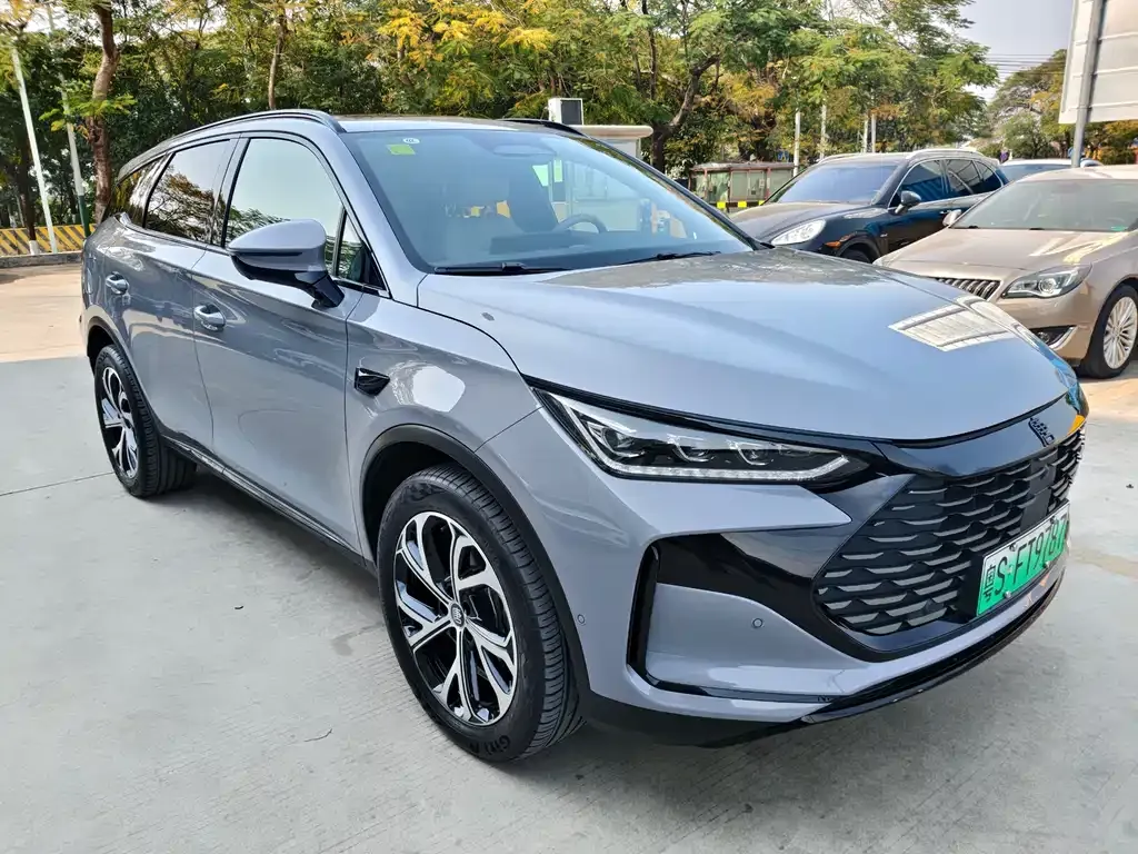 BYD Tang New Energy 2025 из CN, фото 10