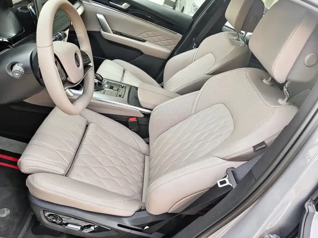 BYD Tang New Energy 2025 из CN, фото 9