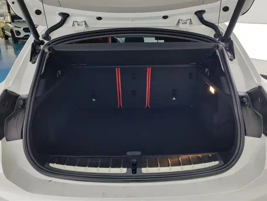 BMW X2 2024 из CN, фото 6