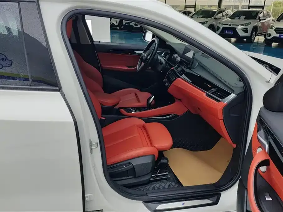 BMW X2 2024 из CN, фото 8