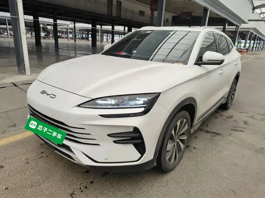 BYD PLUS New Energy 2023 из CN, фото 1