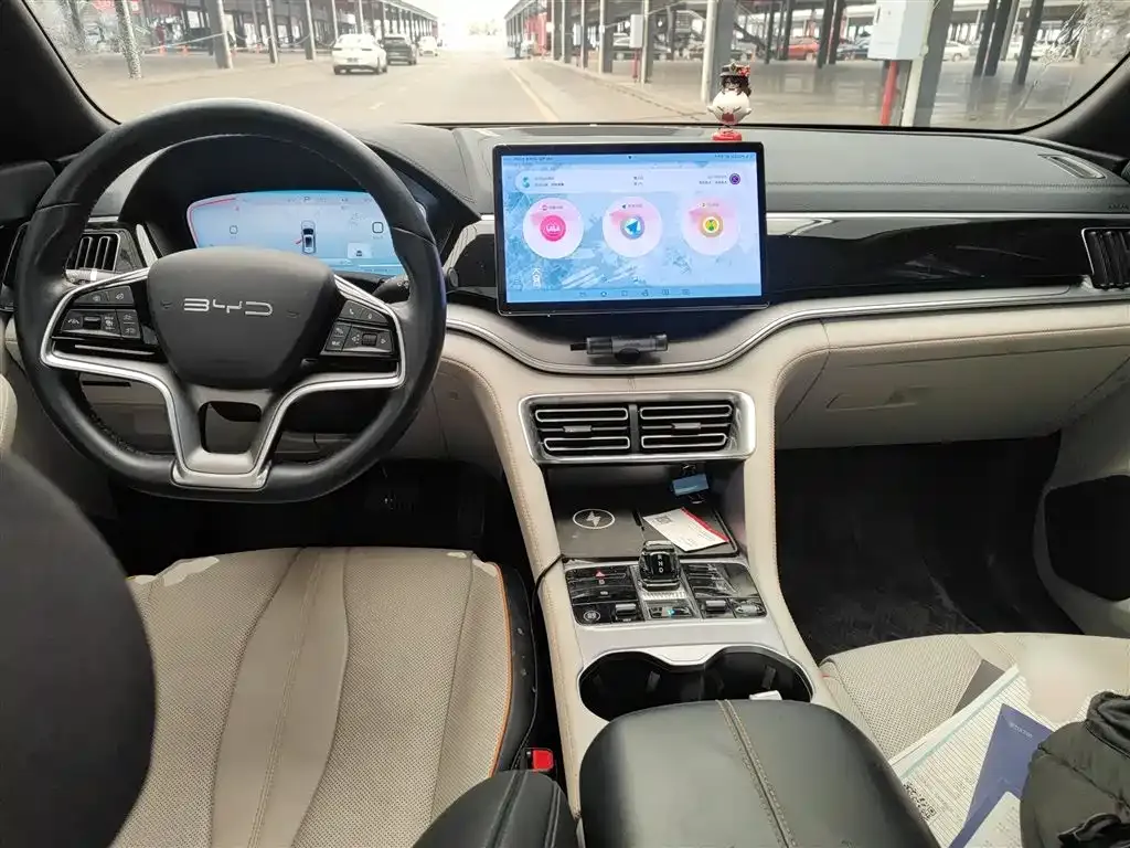 BYD PLUS New Energy 2023 из CN, фото 5