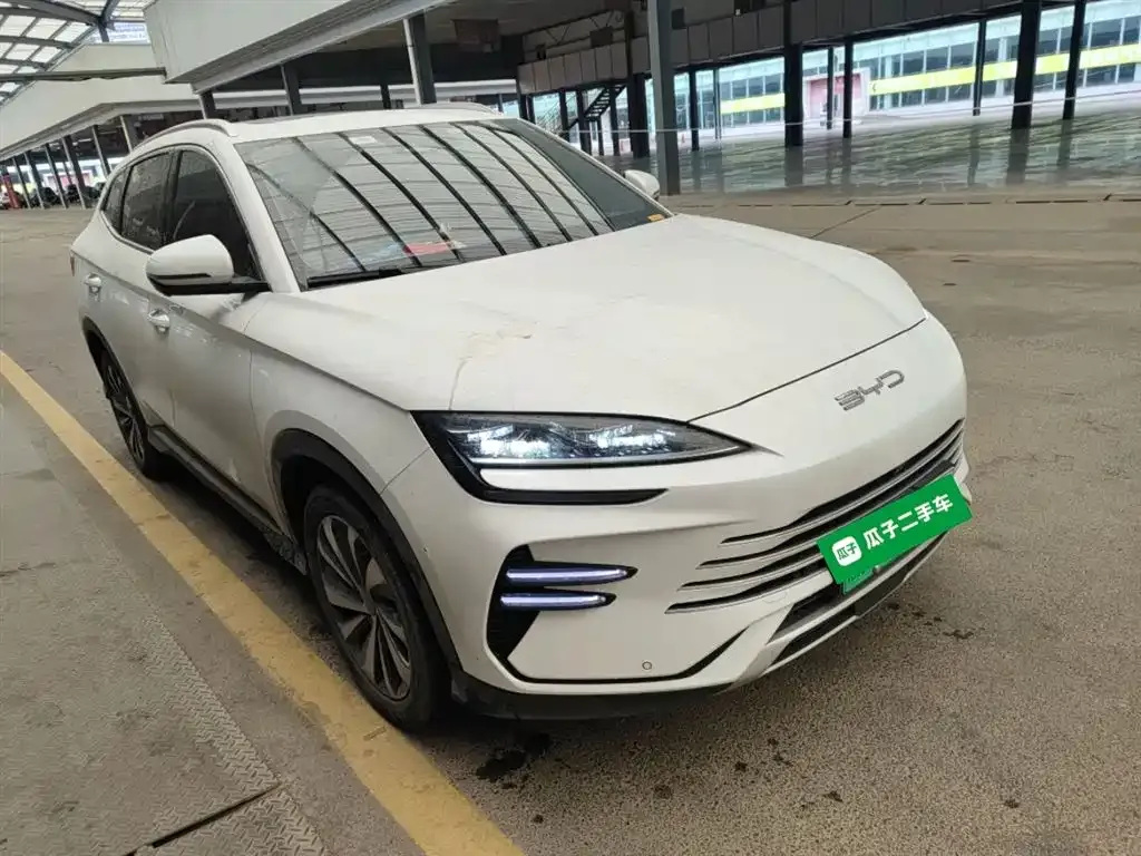 BYD PLUS New Energy 2023 из CN, фото 8