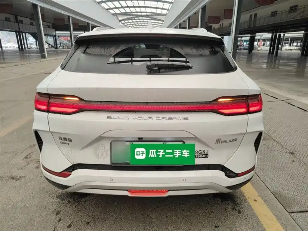 BYD PLUS New Energy 2023 из CN, фото 3