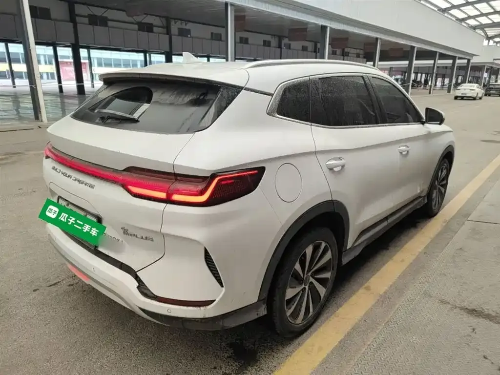 BYD PLUS New Energy 2023 из CN, фото 2
