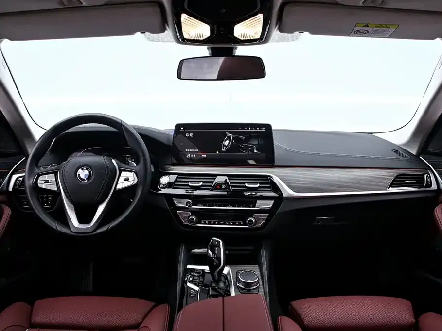 BMW 5 Series 2024 из CN, фото 3