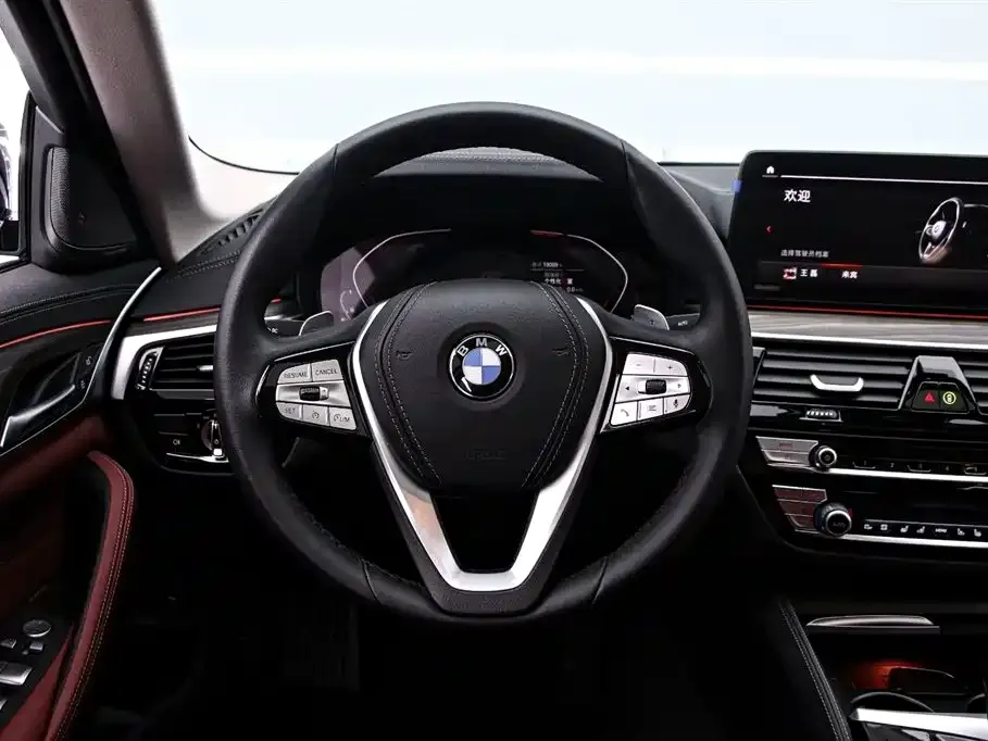 BMW 5 Series 2024 из CN, фото 5