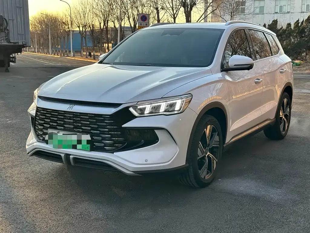 BYD Pro New Energy 2024 из CN, фото 1