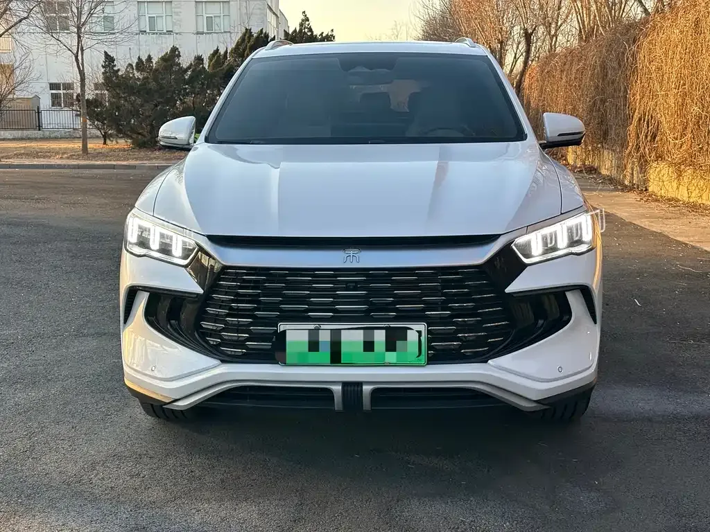 BYD Pro New Energy 2024 из CN, фото 3