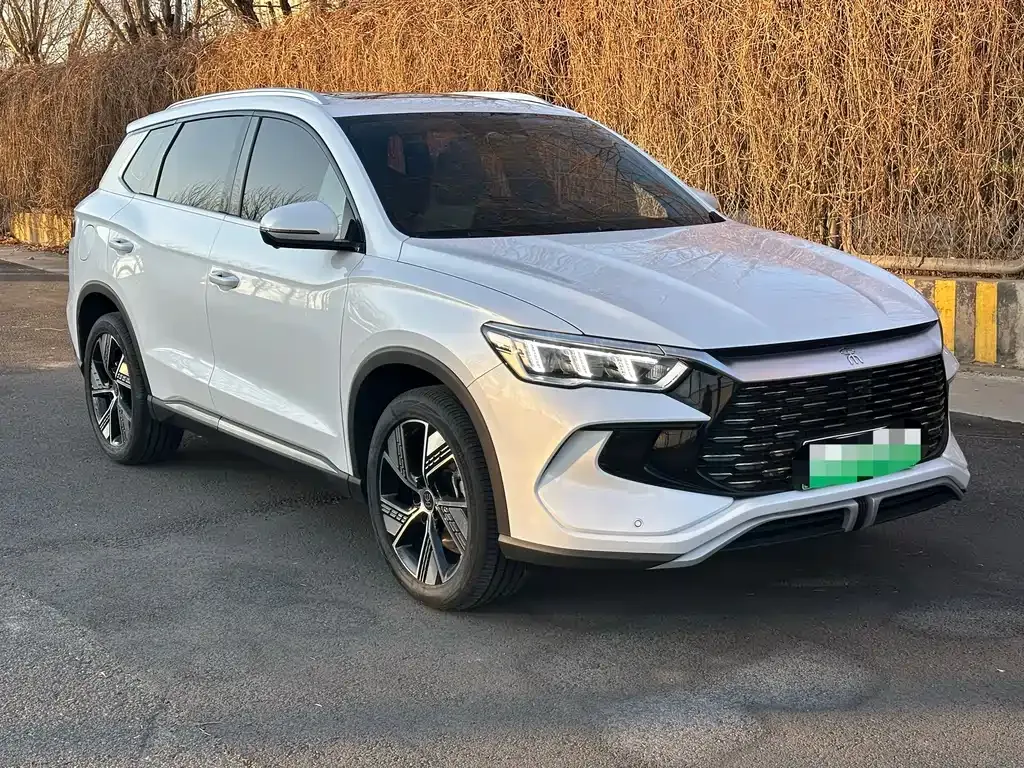 BYD Pro New Energy 2024 из CN, фото 4