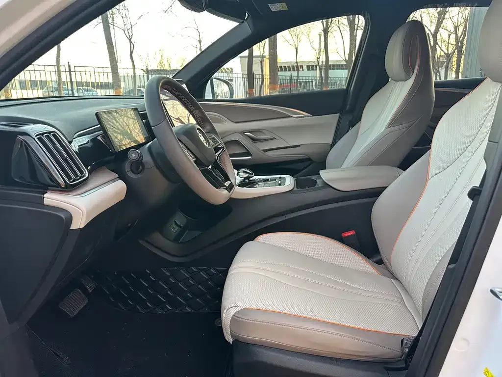 BYD Pro New Energy 2024 из CN, фото 2