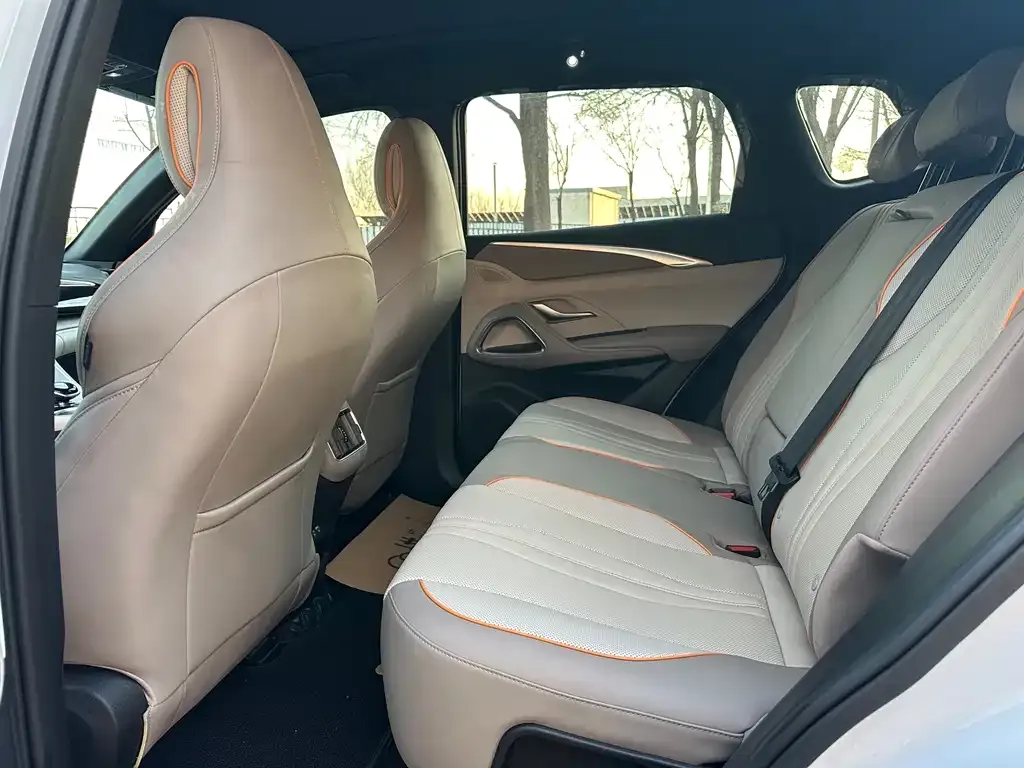 BYD Pro New Energy 2024 из CN, фото 6