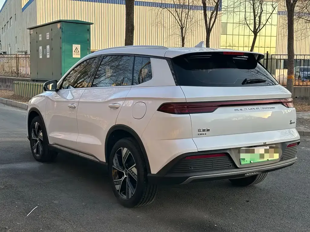 BYD Pro New Energy 2024 из CN, фото 8