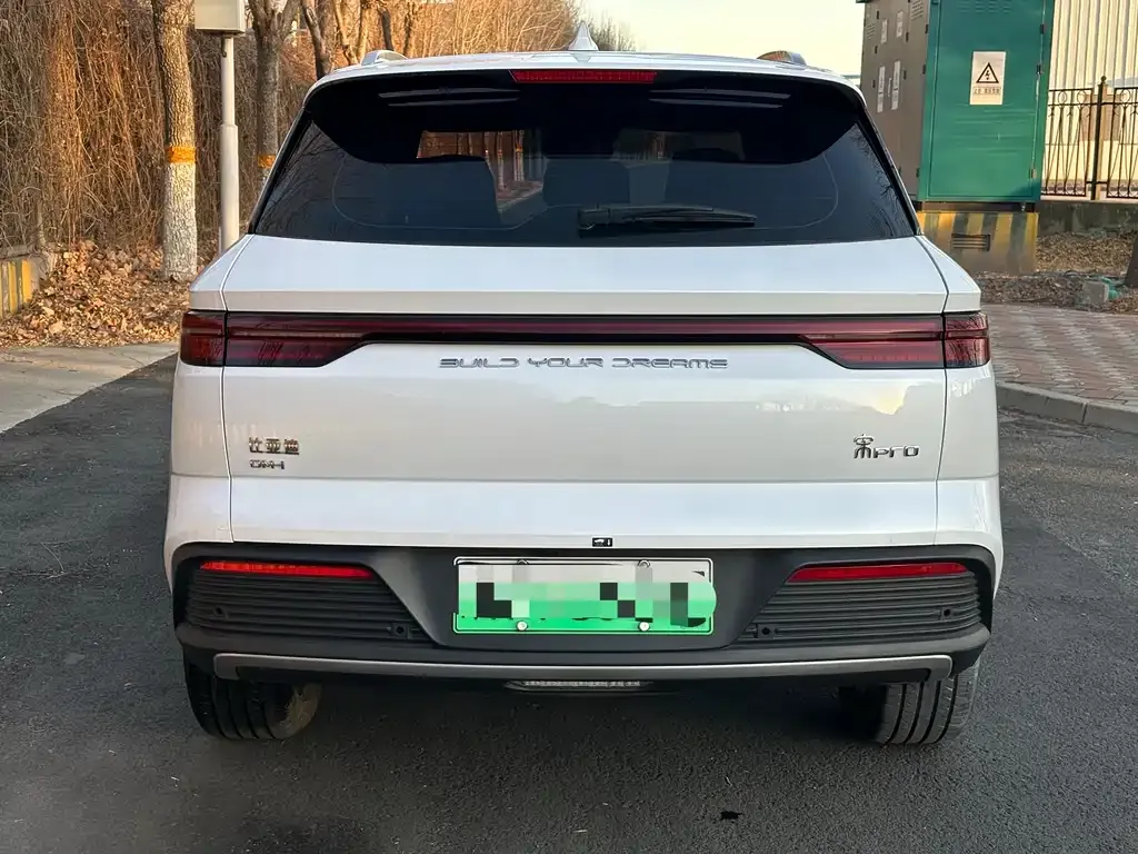 BYD Pro New Energy 2024 из CN, фото 7