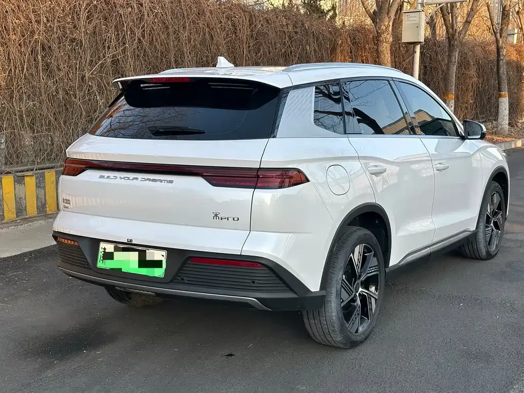 BYD Pro New Energy 2024 из CN, фото 9