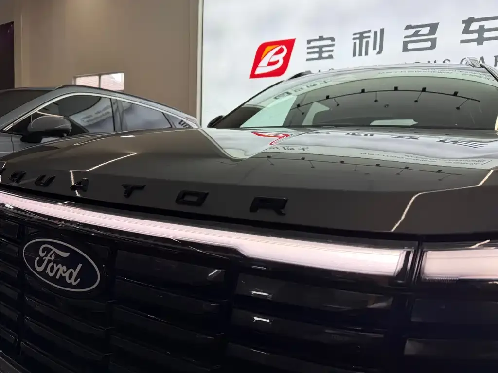 Ford Lingyu New Energy 2025 из CN, фото 2
