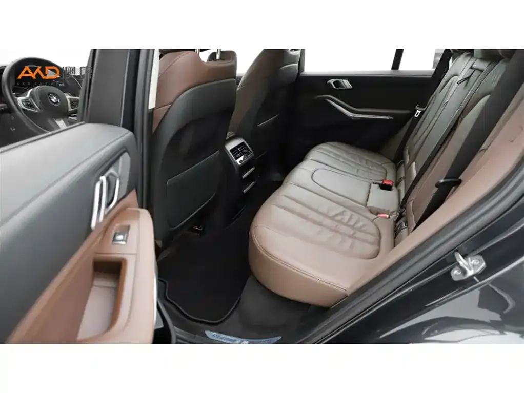 BMW X5 (Import) 2022 из CN, фото 9