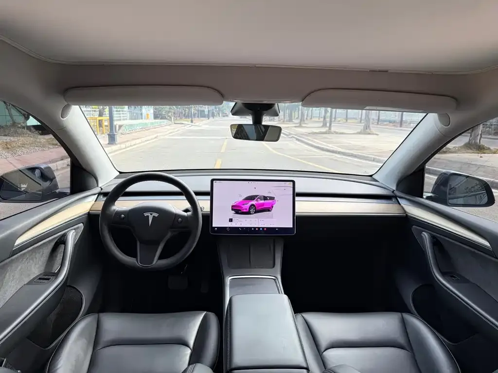 Tesla Model Y 2022 из CN, фото 6