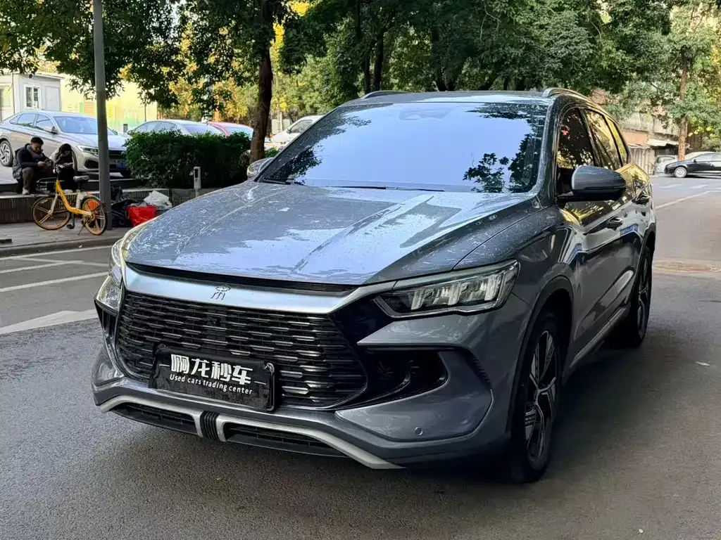BYD Pro New Energy 2023 из CN, фото 1