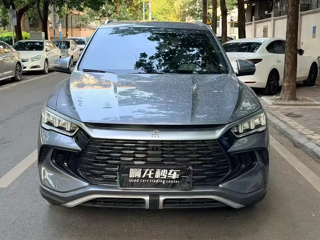 BYD Pro New Energy 2023 из CN, фото 6