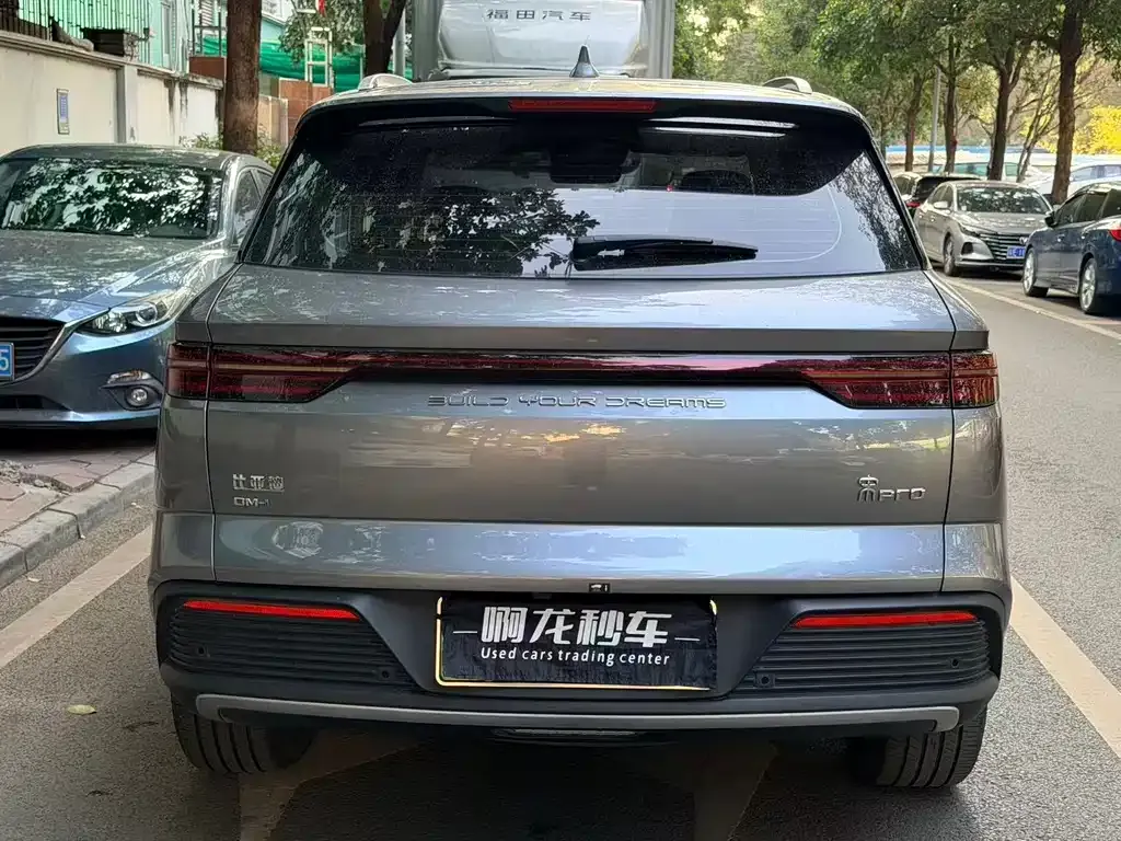BYD Pro New Energy 2023 из CN, фото 9