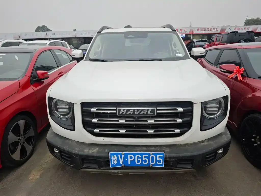 Haval Big Dog 2022 из CN, фото 6