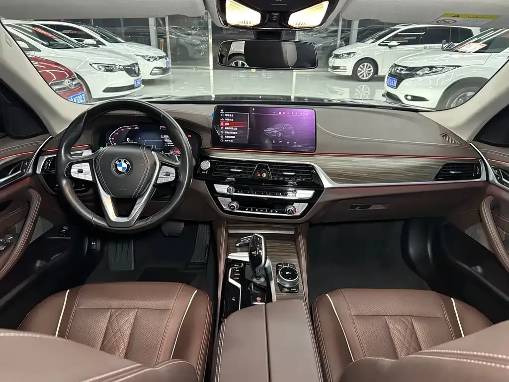 BMW 5 Series 2021 из CN, фото 10