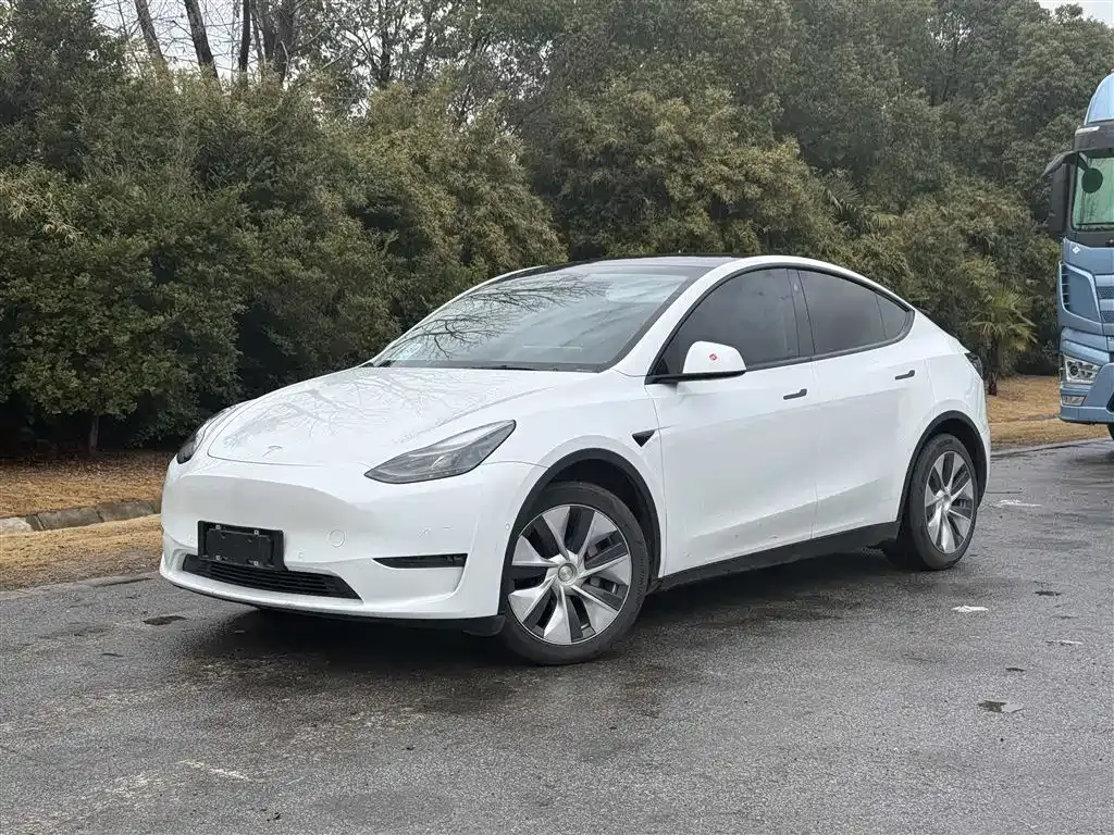Tesla Model Y 2021 из CN, фото 1