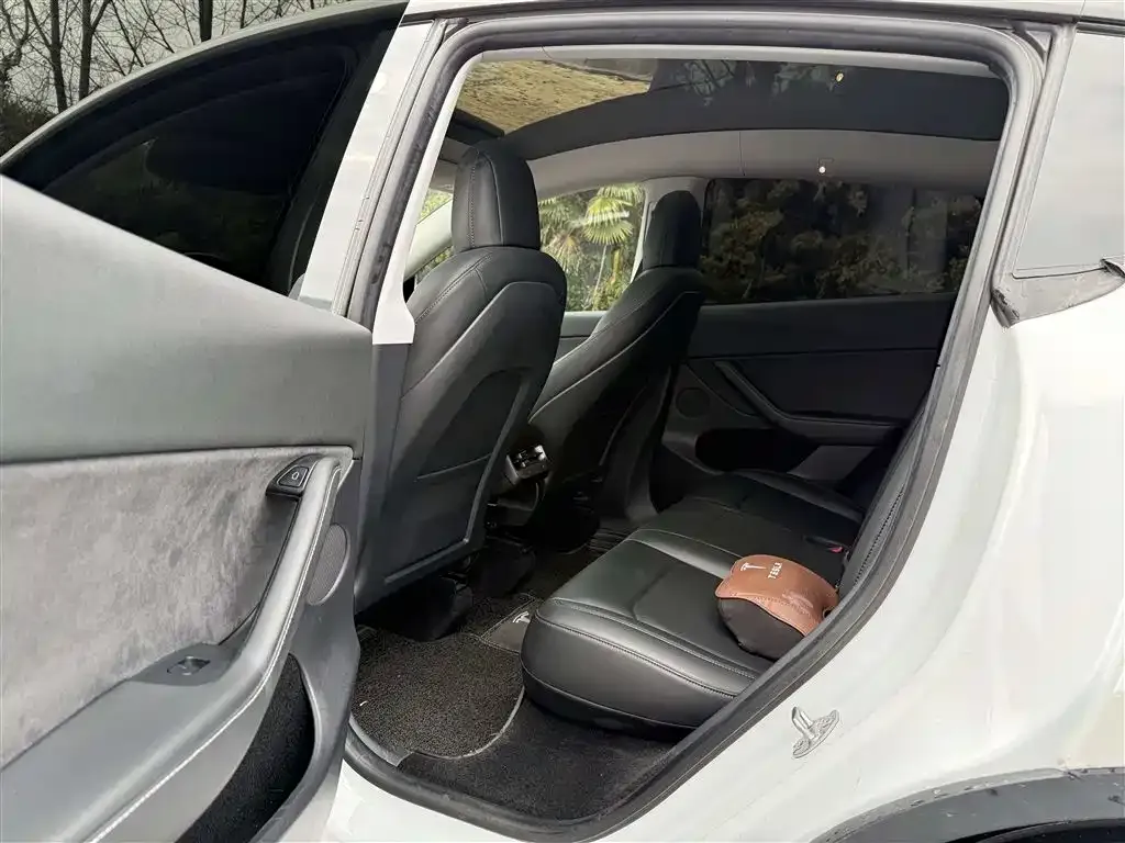Tesla Model Y 2021 из CN, фото 2