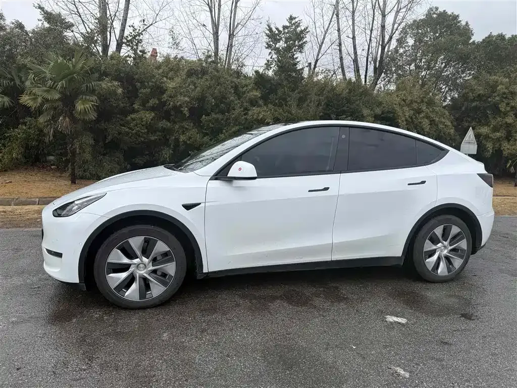 Tesla Model Y 2021 из CN, фото 7