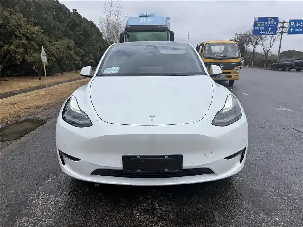 Tesla Model Y 2021 из CN, фото 4