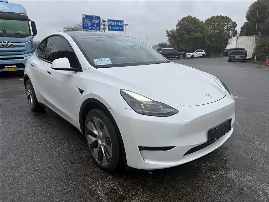Tesla Model Y 2021 из CN, фото 3