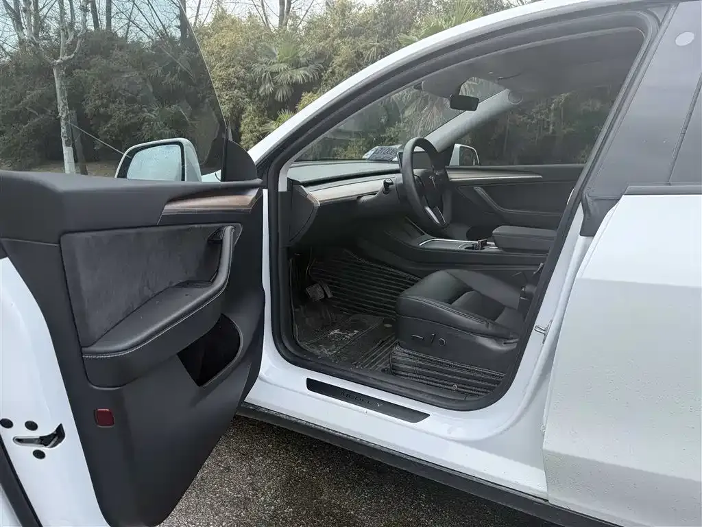 Tesla Model Y 2021 из CN, фото 6