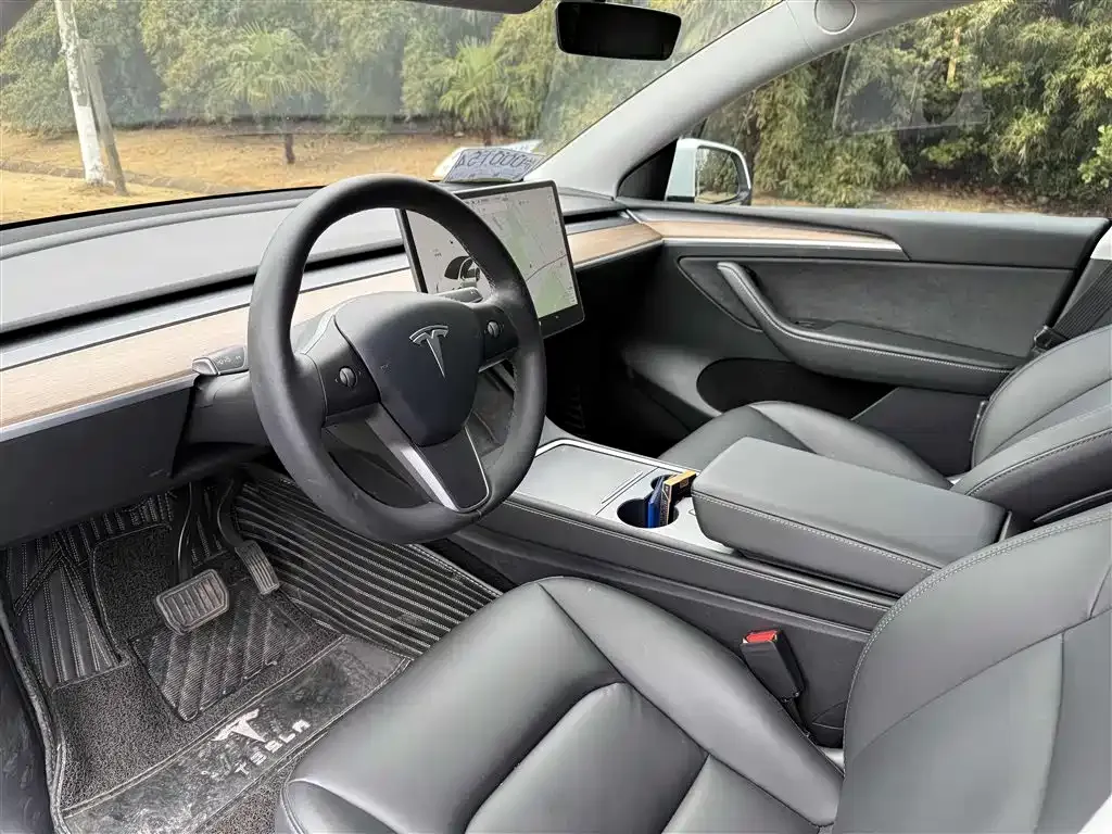 Tesla Model Y 2021 из CN, фото 9