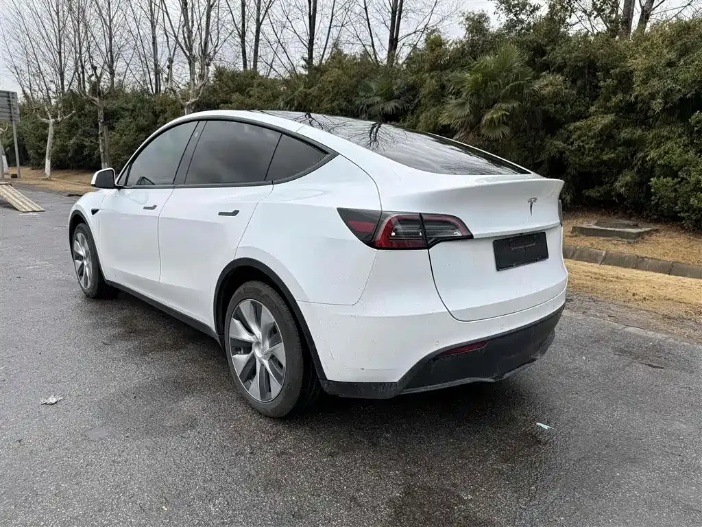 Tesla Model Y 2021 из CN, фото 10