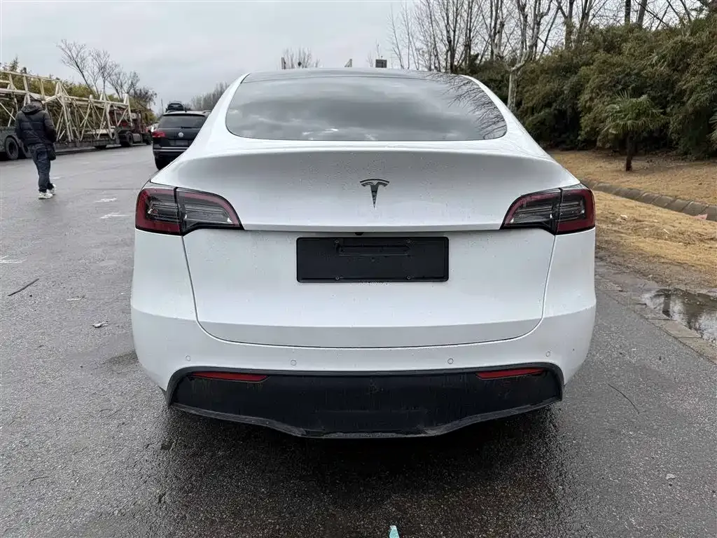 Tesla Model Y 2021 из CN, фото 5