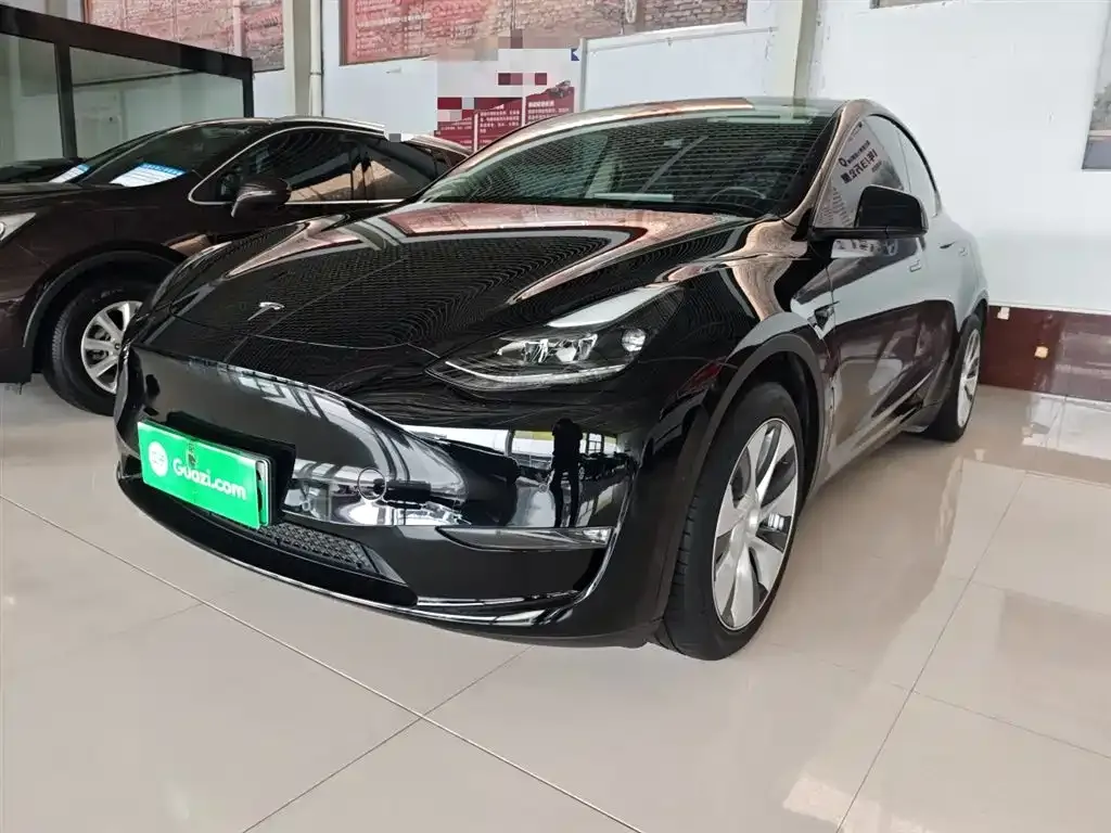 Tesla Model Y 2021 из CN, фото 9