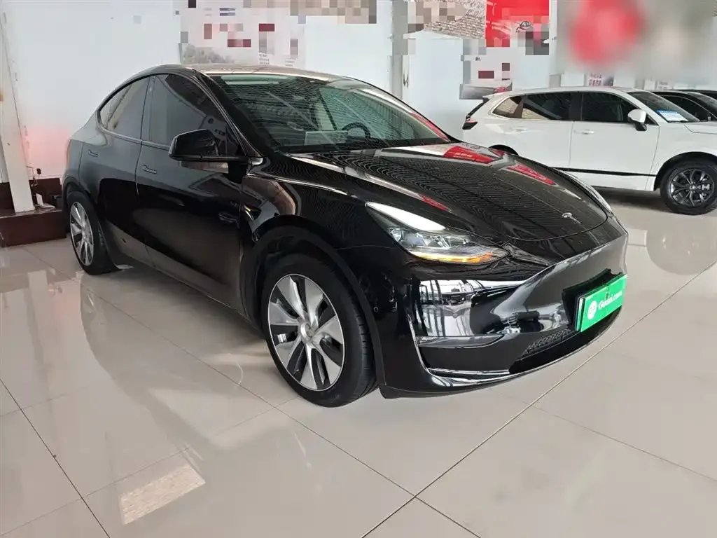 Tesla Model Y 2021 из CN, фото 5