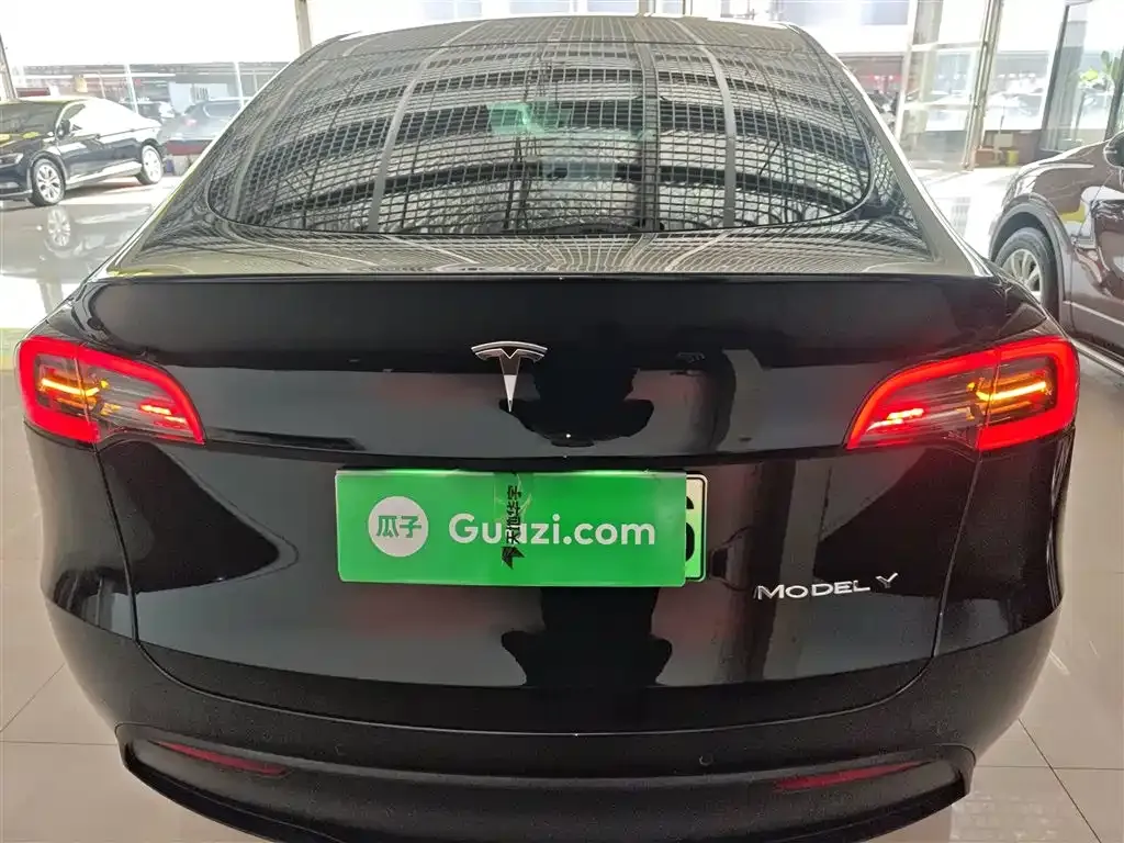 Tesla Model Y 2021 из CN, фото 6