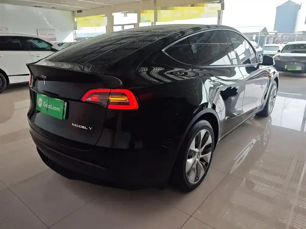 Tesla Model Y 2021 из CN, фото 7