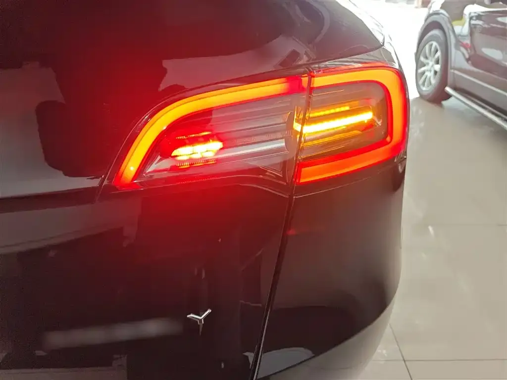 Tesla Model Y 2021 из CN, фото 3