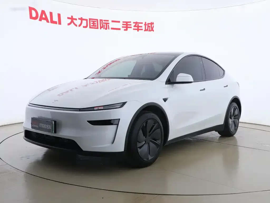 Tesla Model Y 2025 из CN, фото 1