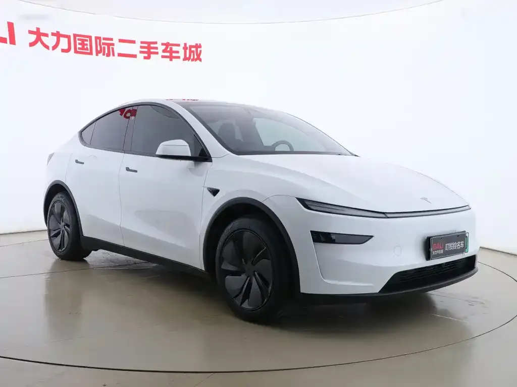 Tesla Model Y 2025 из CN, фото 2
