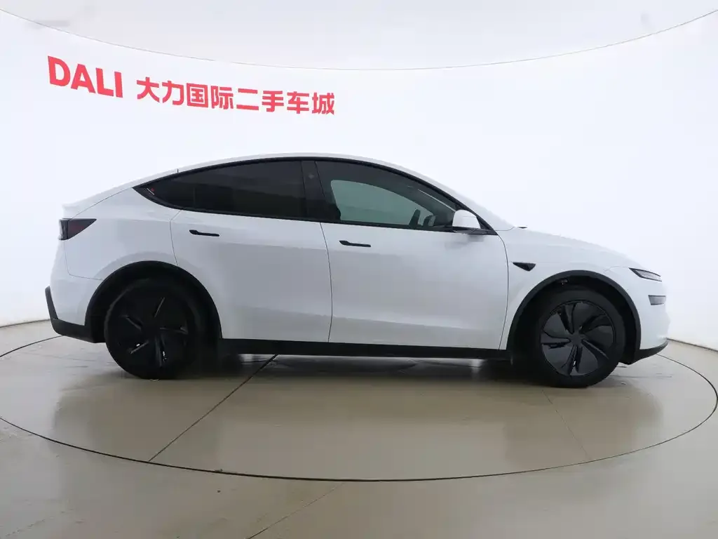 Tesla Model Y 2025 из CN, фото 4