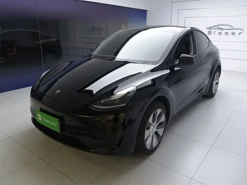 Tesla Model Y 2023 из CN, фото 2