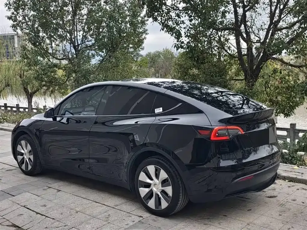 Tesla Model Y 2021 из CN, фото 7