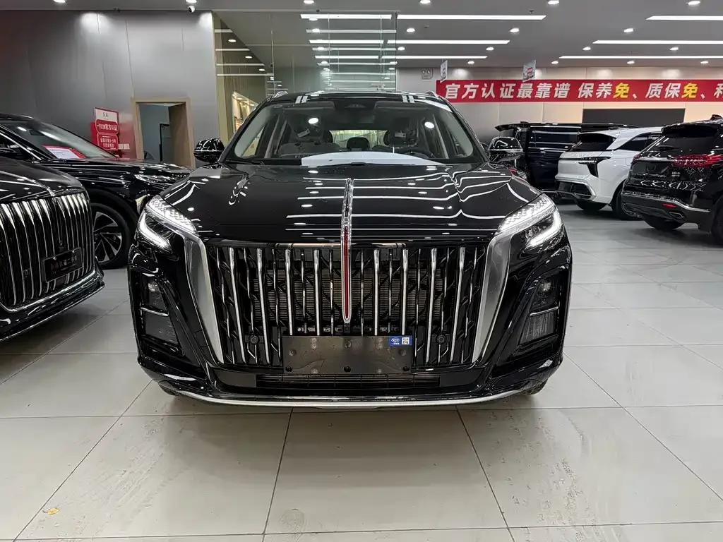Hongqi HS3 PHEV 2026 из CN, фото 9