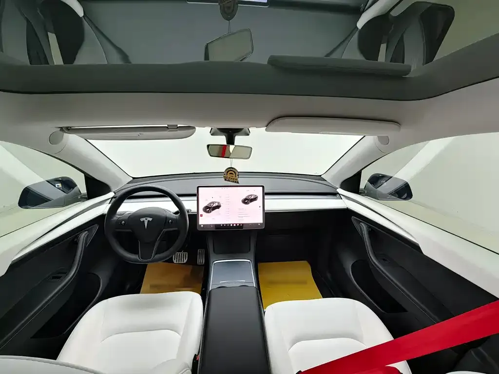 Tesla Model Y 2023 из CN, фото 3
